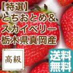  клубника набор фрукты Fruits........ Sky Berry. специальный отбор крупный клубника Tochigi префектура подлинный холм производство подарок .. для 2 упаковка ввод бесплатная доставка 