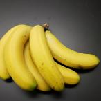  местного производства banana .. banana нет пестициды Special превосходящий 7-11 шт. входит . префектура Аичи производство бесплатная доставка прямая поставка от производителя редкий . средний изначальный 