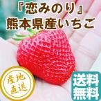  клубника .. клей .. примерно 500g 2 упаковка входить коробка прямая поставка от производителя бесплатная доставка Kumamoto префектура производство фрукты фрукты подарок 
