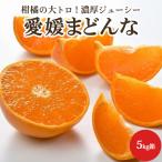 愛媛 まどんな 高級 みかん 柑橘類 フルーツ 5kg 贈答用 愛媛県産 産地直送 送料無料 ギフト