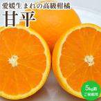 ショッピング甘平 甘平 高級 みかん 柑橘類 フルーツ 5kg箱 家庭用 愛媛県産 産地直送 送料無料