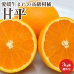 甘平 高級 みかん 柑橘類 フルーツ 特選 3kg箱 贈答用 愛媛県産 産地直送 送料無料
