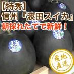  арбуз фрукты Fruits высококлассный Shinshu волна рисовое поле вид нет чёрная кожа арбуз очень большой шар 2 шар для бытового использования 1 шар 9kg и больше Nagano префектура Matsumoto производство прямая поставка от производителя бесплатная доставка . средний изначальный жара средний видеть Mai осталось жара . видеть Mai подарок 