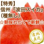  арбуз фрукты Fruits высококлассный Shinshu волна рисовое поле вид нет арбуз очень большой шар 1 шар для бытового использования 9kg и больше Nagano префектура Matsumoto производство прямая поставка от производителя бесплатная доставка . средний изначальный осталось жара . видеть Mai подарок 