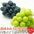 特秀ナガノパープル&シャイ...