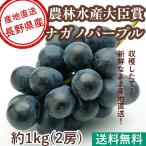  Special превосходящий nagano лиловый виноград фрукты .. для примерно 1kg 2. несессер ввод Nagano префектура производство прямая поставка от производителя бесплатная доставка подарок 