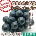 特秀ナガノパープルぶどうフルーツ贈...