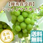  автомобиль in мускат виноград фрукты превосходящий товар 2kg коробка 3~5. ввод Yamagata префектура производство подарок прямая поставка от производителя бесплатная доставка фрукты 