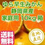 みかん フルーツ Fruits ゆら 早生 みかん 静岡県産 産地直送 送料無料 家庭用10kg箱