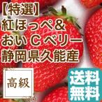  клубника ......C Berry 2 товар вид набор .. для 2 упаковка ввод примерно 840g Shizuoka префектура . талант производство 