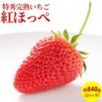 клубника ...... примерно 840g специальный отбор .. для 2 упаковка входить коробка прямая поставка от производителя бесплатная доставка фрукты фрукты подарок 