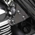 TECH-MASTER ( Tec тормозные колодки ) Z900RS / CAFE 64 titanium двигатель наголовный для болт 6 шт. комплект черный BS0036