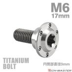  titanium болт M6×17mm P1.0 иен тубус часть диаметр 9mm уровень имеется болт звездообразный дыра фланец имеется серебряный цвет 1 шт JA882