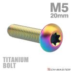 チタンボルト M5×20mm P0.8 トラスヘッド トルクス穴付き レインボー 1個 JA934