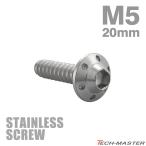ステンレスネジ M5×20mm タッピングビス 六角穴 ステップホールヘッド シルバーカラー 1個 TC0109