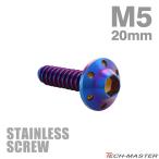 ステンレスネジ M5×20mm タッピングビス 六角穴 ステップホールヘッド 焼きチタンカラー 1個 TC0119