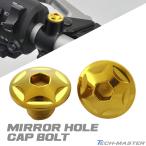 ミラーホールキャップ 正ネジ M10×10mm P1.25 2個セット ホンダ車用 スターヘッド ゴールド TH0102