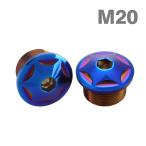  front fork top cap bolt M20×10mm left right set made of stainless steel roasting titanium color TH0109