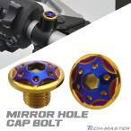 ミラーホールキャップ 正ネジ 逆ネジ M10×10mm P1.25 2個セット ヤマハ車用 スターホールヘッド ゴールド×焼きチタンカラー TH0192