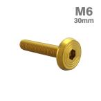  нержавеющая сталь болт M6×30mm P1.0 ракушка head Flat Gold цвет TR0792
