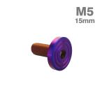  нержавеющая сталь болт M5×15mm P0.8 коврик модель ракушка head Flat жарение titanium цвет TR0858