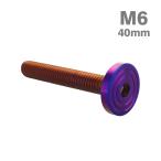  нержавеющая сталь болт M6×40mm P1.0 коврик модель ракушка head Flat жарение titanium цвет TR0870