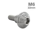  нержавеющая сталь болт M6×22mm P1.0 иен тубус часть диаметр 9mm уровень имеется болт шестигранная головка серебряный цвет TR0874