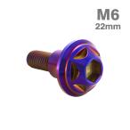  нержавеющая сталь болт M6×22mm P1.0 иен тубус часть диаметр 9mm уровень имеется болт шестигранная головка жарение titanium цвет TR0879