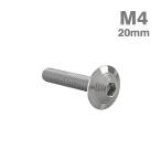  нержавеющая сталь болт M4×20mm P0.7 ракушка head фланец имеется серебряный цвет TR0891
