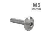  нержавеющая сталь болт M5×25mm P0.8 ракушка head фланец имеется серебряный цвет TR0896