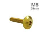  нержавеющая сталь болт M5×25mm P0.8 ракушка head фланец имеется Gold цвет TR0912