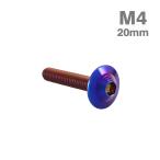  нержавеющая сталь болт M4×20mm P0.7 ракушка head фланец имеется жарение titanium цвет TR0923