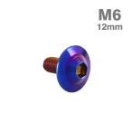  нержавеющая сталь болт M6×12mm P1.0 ракушка head фланец имеется жарение titanium цвет TR0930