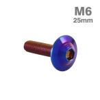  нержавеющая сталь болт M6×25mm P1.0 ракушка head фланец имеется жарение titanium цвет TR0933