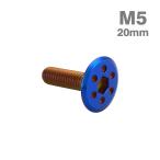  нержавеющая сталь болт M5×20mm P0.8 отверстие head Flat жарение titanium цвет TR0975