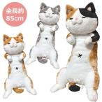 にゃん太 2号 ゴロ寝ぬいぐるみ 猫 ビッグサイズ ねこぬいぐるみ にゃんた 抱き枕 ニャン太 Buyee Buyee 日本の通販商品 オークションの代理入札 代理購入