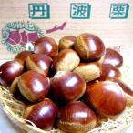  Tanba каштан .....2L размер примерно 2kg бесплатная доставка Kyoto производство столица. бренд производство товар столица овощи | осень Tanba .. Tanba kli осень столица овощи . данный земля гурман 