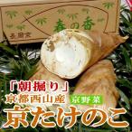 筍 朝掘り 京 たけのこ 約4kg 4〜10本前後 米ぬかプレゼント お徳用 京都西山産|春 京やさい 竹の子 タケノコ