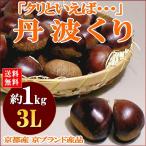 くり 丹波栗 たんばくり 約1kg 大玉 3Lサイズ以上 送料無料 京都産 京野菜 秋 選果の方法で大きさにばらつきがあります　