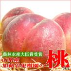 もも加納岩果樹園の桃約5kg大玉1...