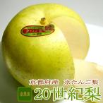 京たんご梨 二十世紀梨 にじゅっせいきなし 約10kg 大玉 24個入り 京のブランド産品 京都産 久美浜|和梨 20世紀梨 二〇世紀 青梨 プレゼント ギフト gift