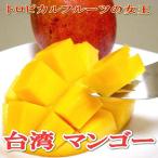 マンゴー 台湾産 マンゴー 大玉 6〜7個入り アップルマンゴー |父の日食べ物 贈り物 御中元 芒果 台湾マンゴー ギフト プレゼント おちゅうげん タイワン