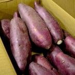 さつまいも徳島産鳴門金時なるときん...