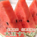 信濃 松本ハイランド 大玉すいか 4Lサイズ2個入り 長野産 |信州 大玉 西瓜 スイカ プレゼント ギフト 赤肉 大玉すいか