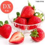  клубника . клубника Fukuoka префектура производство ....DX упаковка 2 упаковка ввод White Day . индустрия праздник входить . праздник фрукты .. подарок подарок . праздник .. внутри праздник ..