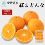 愛媛県産 紅まどんな 6個入り 約1.2kg 果物 贈答 ギフト プレゼント 御祝 御礼 内祝 御供 お歳暮