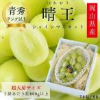 [ супер большой .] автомобиль in мускат ..1. ввод виноград виноград .. синий превосходящий разряд и больше 1. на примерно 800g и больше 