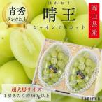 お中元【超大房】岡山県産 シャインマスカット晴王 2房入り ぶどう 葡萄 ブドウ 青秀ランク以上 1房あたり約800g以上