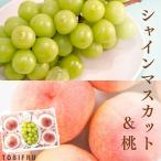 お中元 もも 桃 シャインマスカット と 桃
