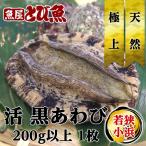 [ 水揚次第発送 ]  天然 活あわび 1枚 約200g以上 本アワビ 黒アワビ 鮑 国産 福井県産 あわび  【同梱不可】 お祝い 海鮮  バーベキュー 料理 awabi